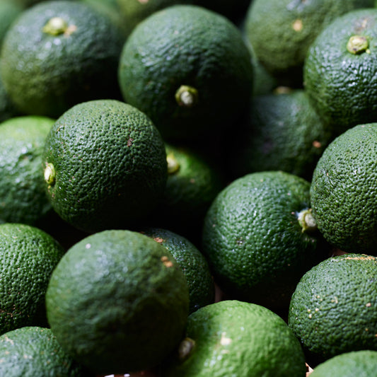 柚子こしょう<e>フレッシュな薬味</e>