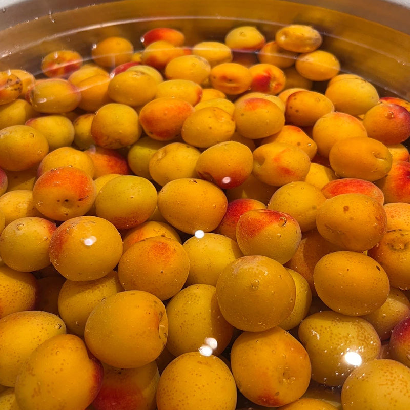 完熟梅の蜜煮