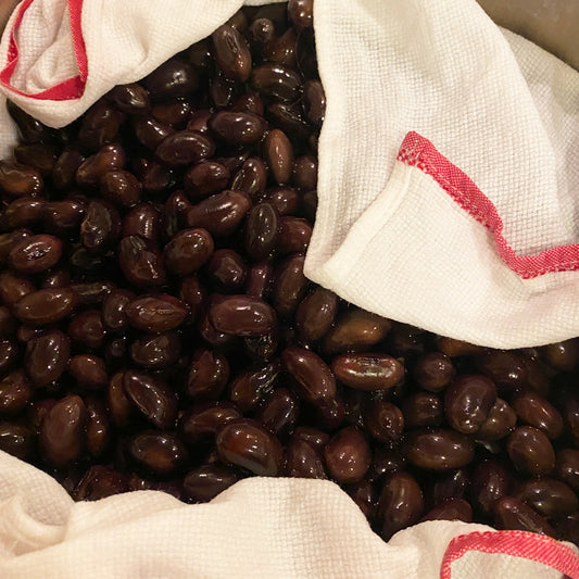 黒豆 蜜煮<e>大瓶(500g) </e>